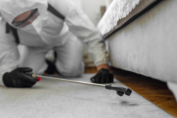 Professional Bed Bug Control technician working in South Barrington, IL