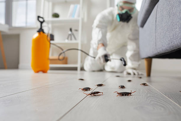 Trusted Fumigation Services service in South Barrington, IL - Nex Pest Control