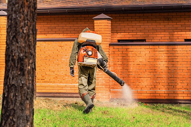 Trusted Bed Bug Control service in South Barrington, IL - Nex Pest Control